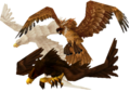 The birds of prey